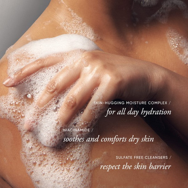 Philosophy Vanilla Birthday Cake Shower Gel 480ml – AbsoluteSkin