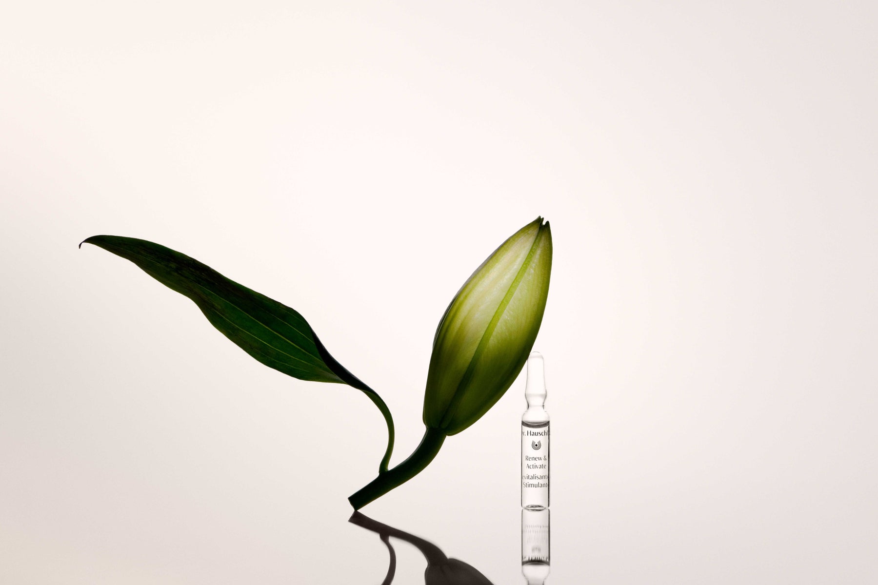 Dr Hauschka Renew & Activate Ampoules 28 x 2ml
