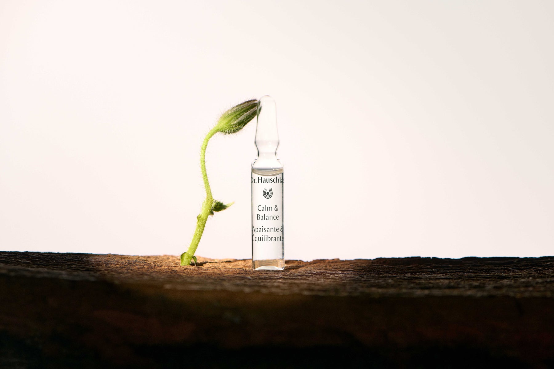 Dr Hauschka Calm & Balance Ampoules 28 x 2ml