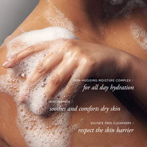 Philosophy Hydrating Shower Gel Fresh Cream 480ml