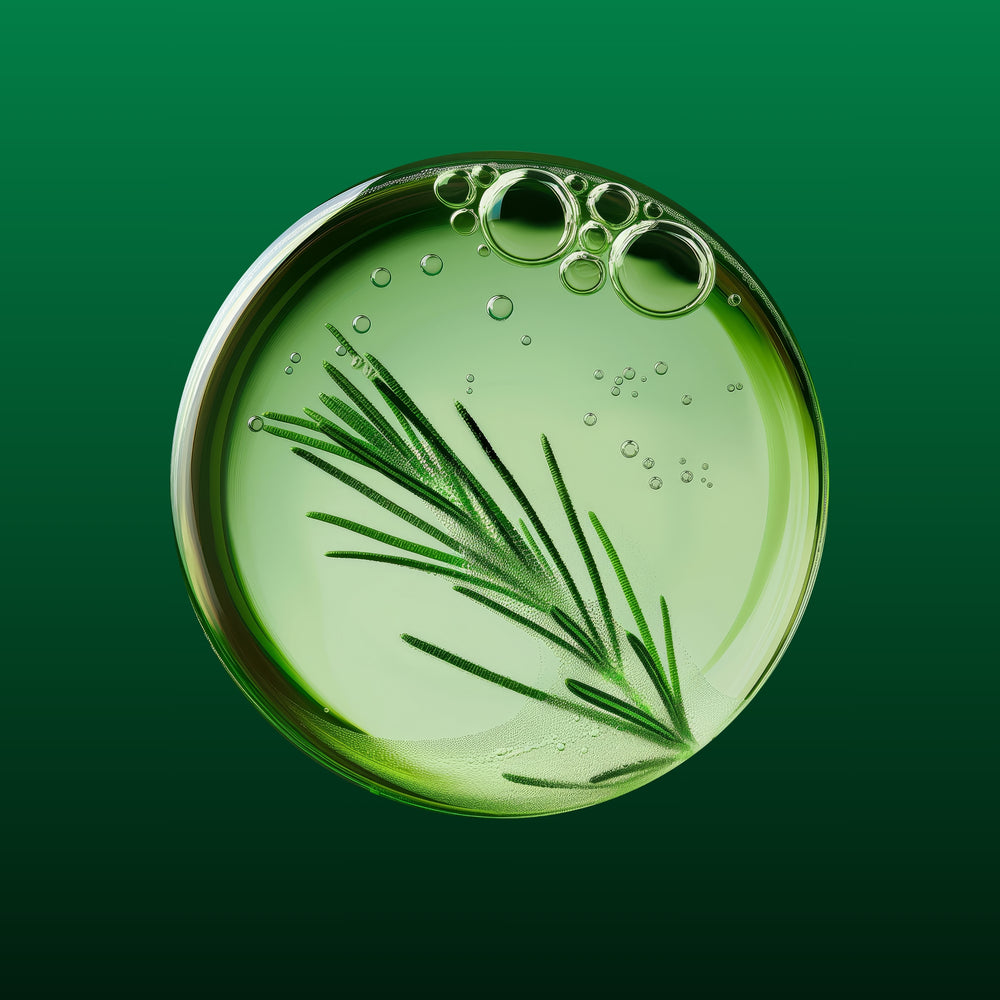 Weleda Skin Food Super Serum 30ml