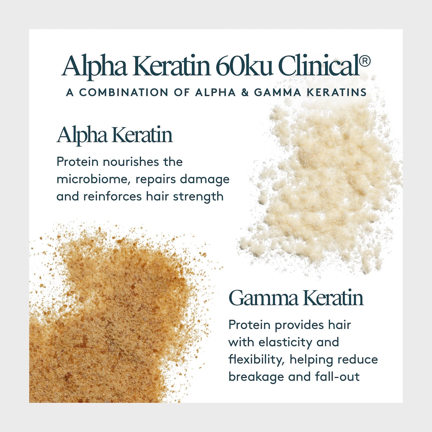 Virtue Flourish Hair Rejuvenation Treatment Kit (Phyto-Follicle Nutrient) - Full Size (90 day)