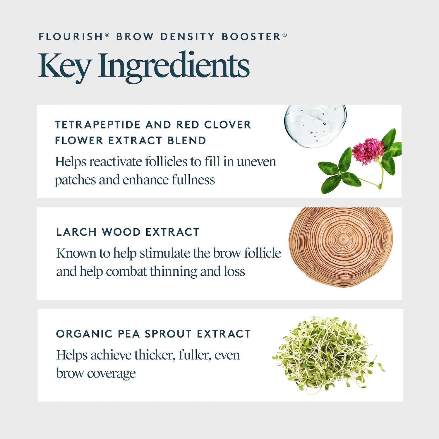 Virtue Flourish Brow Density Booster® 4ml