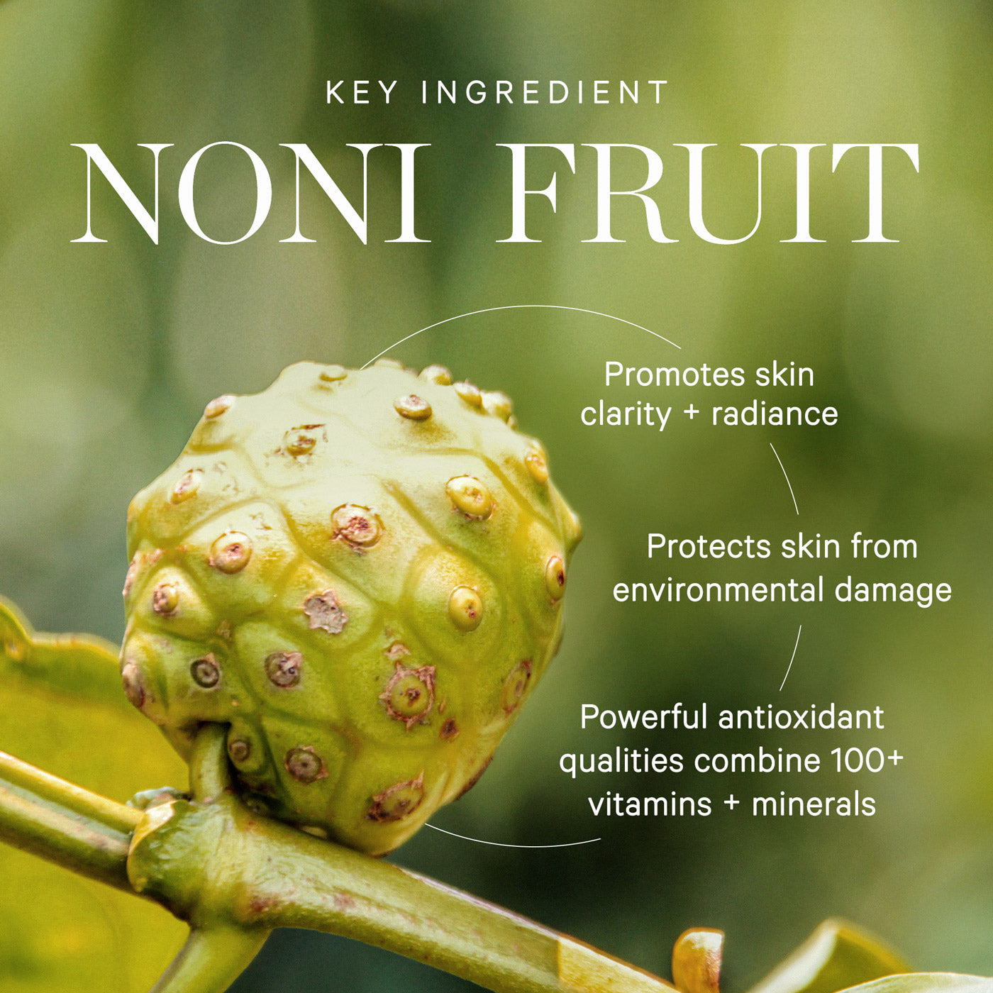 KORA Organics Noni Glow Face Oil 10ml