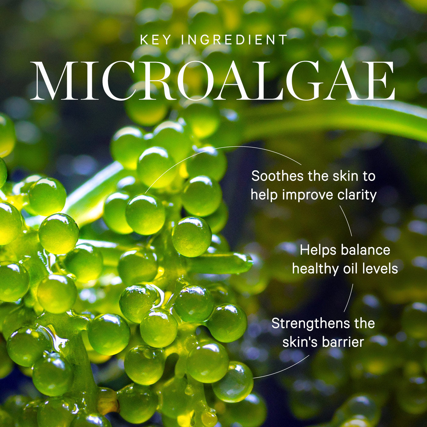 KORA Organics Active Algae Lightweight Moisturizer 15ml