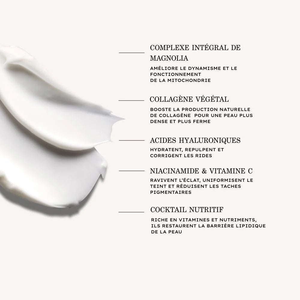 Payot Supreme Absolu Youth Cream Rich 50ml