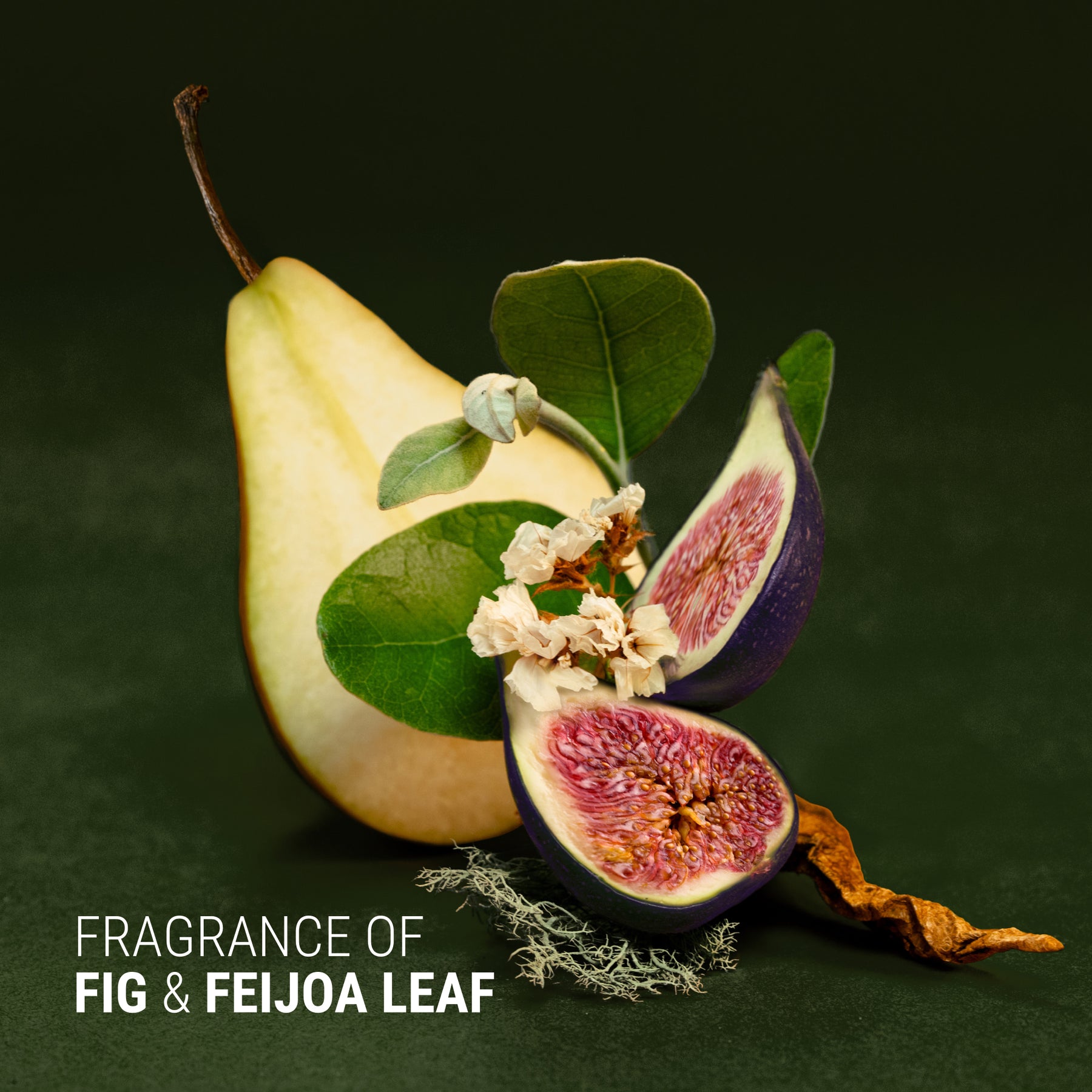 Antipodes Antipodes Fig + Feijoa Repair & Nourish Conditioner 340ml Conditioner