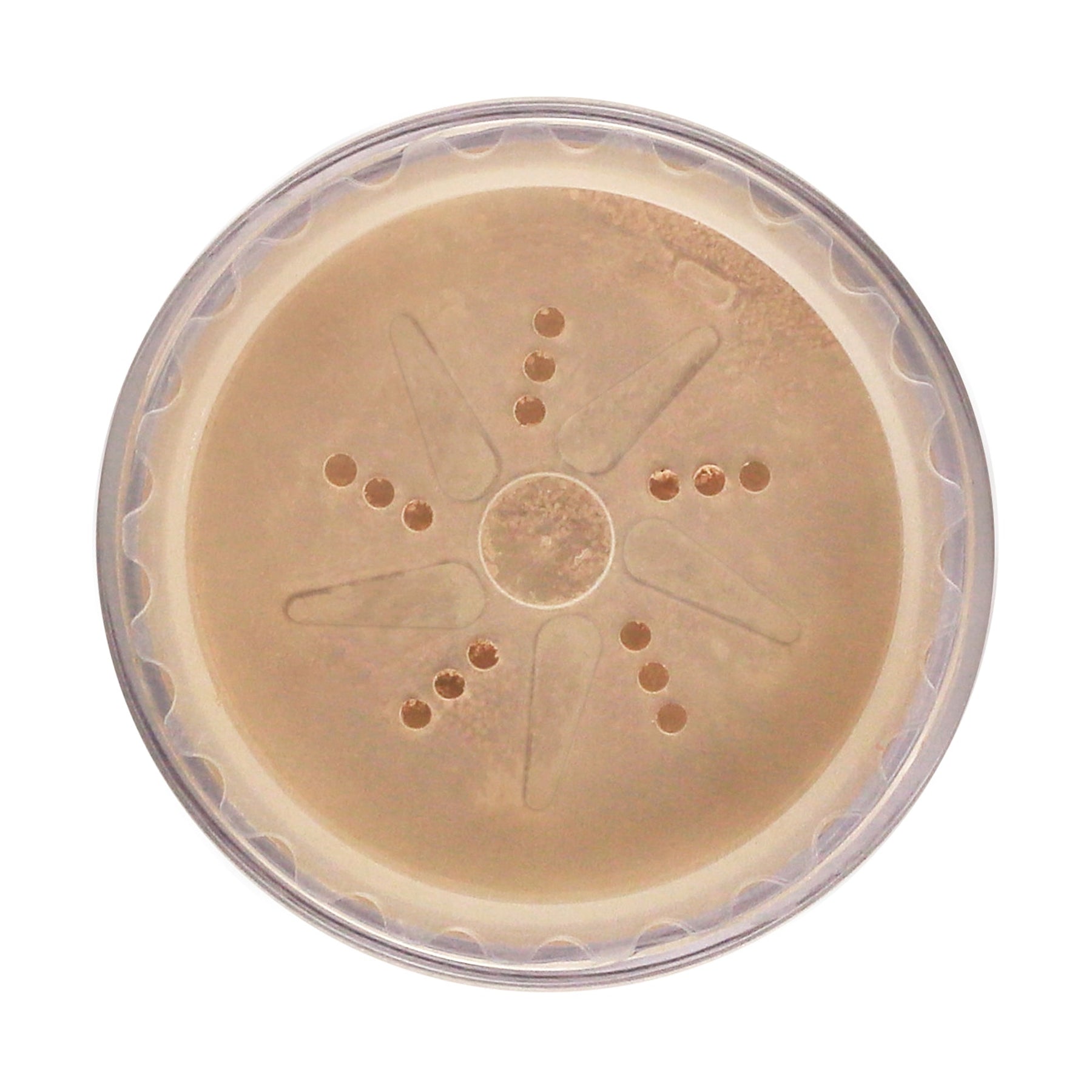asap skin products asap loose mineral foundation makeup SPF15 8g Foundation