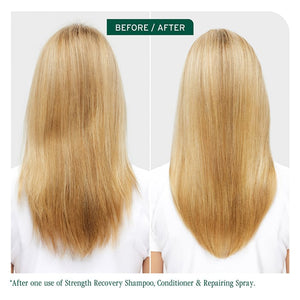 Biolage Biolage Strength Recovery Shampoo 400ml Shampoo
