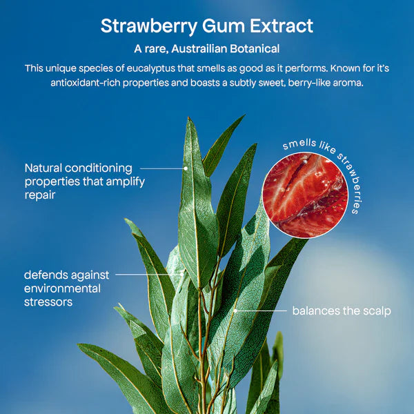 Bondi Boost Bondi Boost Strawberry Gum HG Miracle Hair Mask 250ml Hair Mask