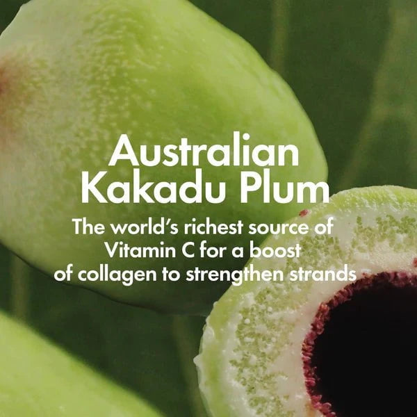 Bondi Boost Bondi Boost Frizz Fix Serum 125ml Hair Oils & Serums