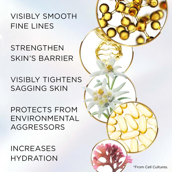 Elizabeth Arden Elizabeth Arden Advanced Ceramide Lift & Firm Night Cream 50ml Night Creams
