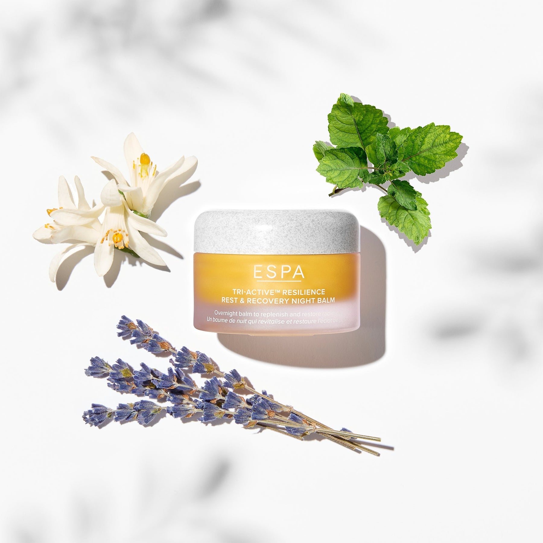 ESPA ESPA Tri-Active Resilience Rest and Recovery Night Balm 30g Skin Care