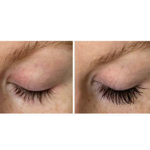 freezeframe freezeframe Instant Lash Xtreme 10ml Cosmetics