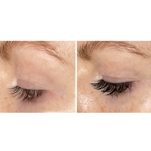 freezeframe freezeframe Instant Lash Xtreme 10ml Cosmetics