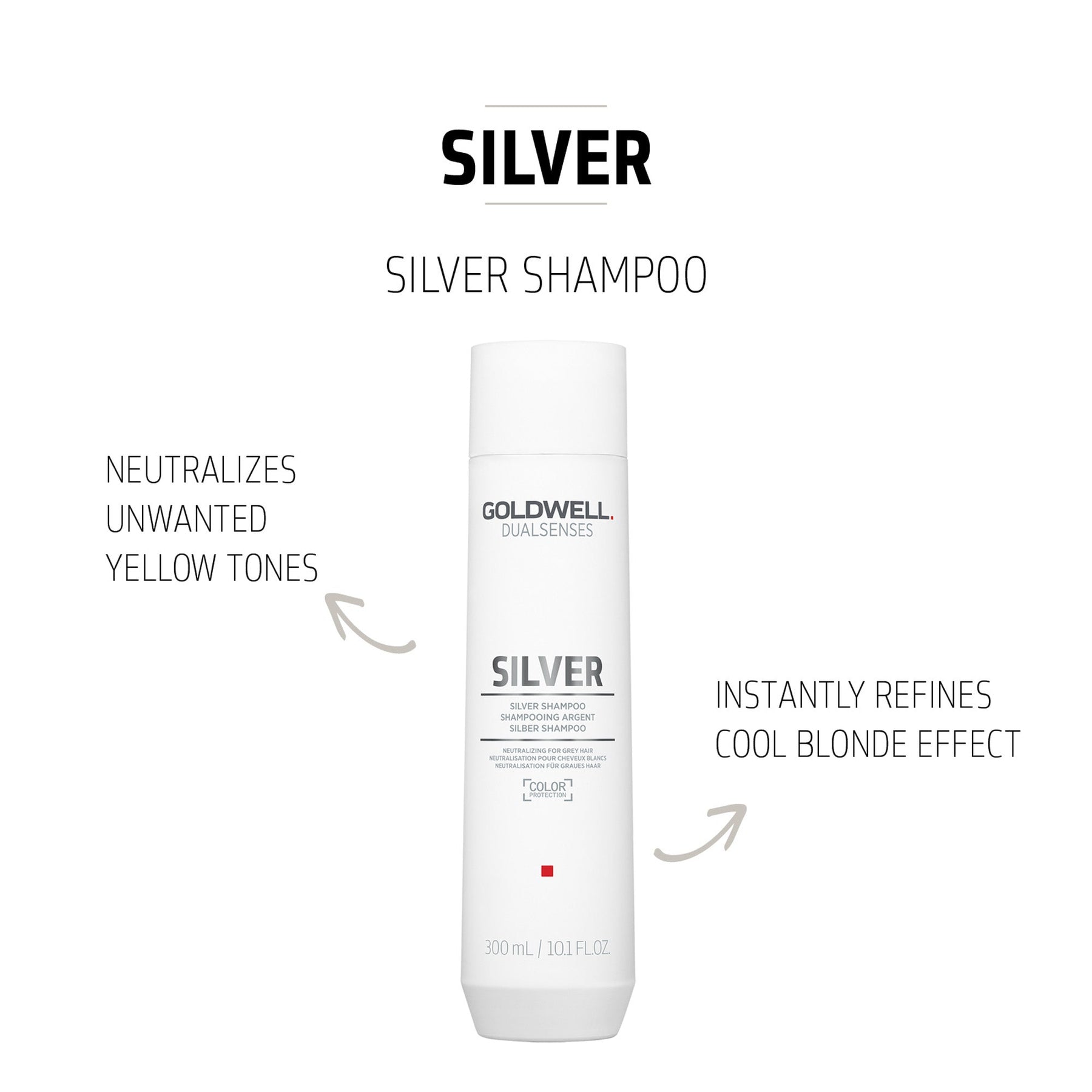 Goldwell Goldwell Dualsenses Silver Shampoo 300ml Hair Care