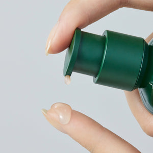 innisfree INNISFREE Green Tea Seed Serum 80ml Skin Care