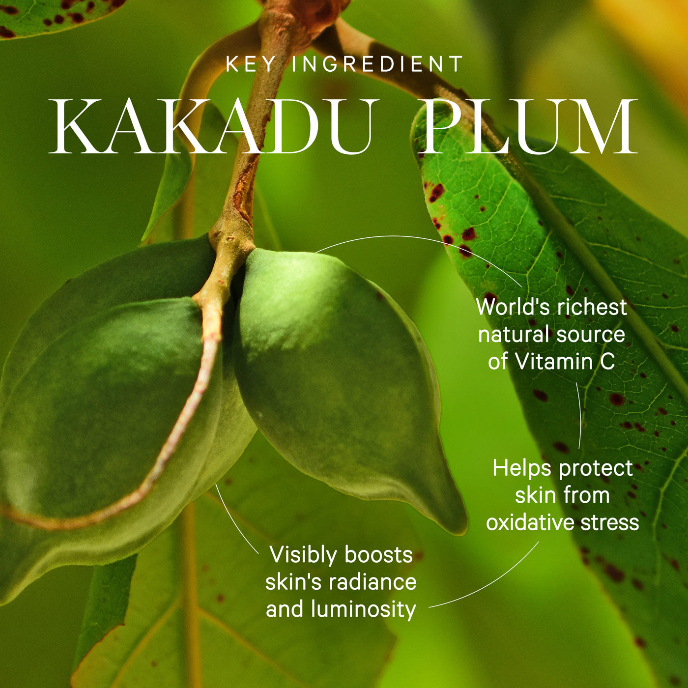Kora Organics KORA Organics Kakadu Plum Vitamin C Serum 30ml Skin Care