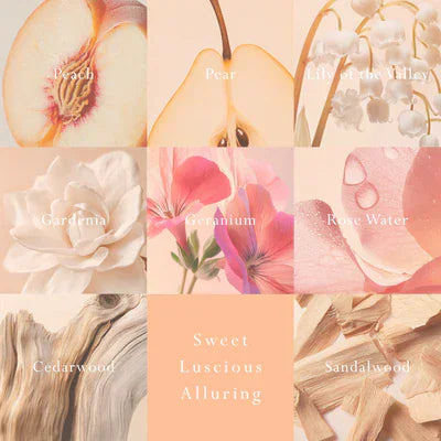 MOR MOR Emporium Classics Peach Delight Car Diffuser - Fragrance Disc Refill Fragrance