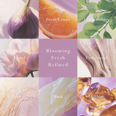 MOR MOR Emporium Classics Primavera Fig Car Diffuser - Fragrance Disc Refill Fragrance