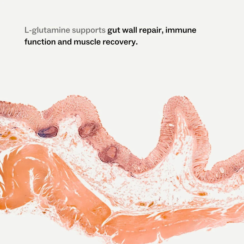 My Way Up My Way Up Clean Glutamine 270g supplements