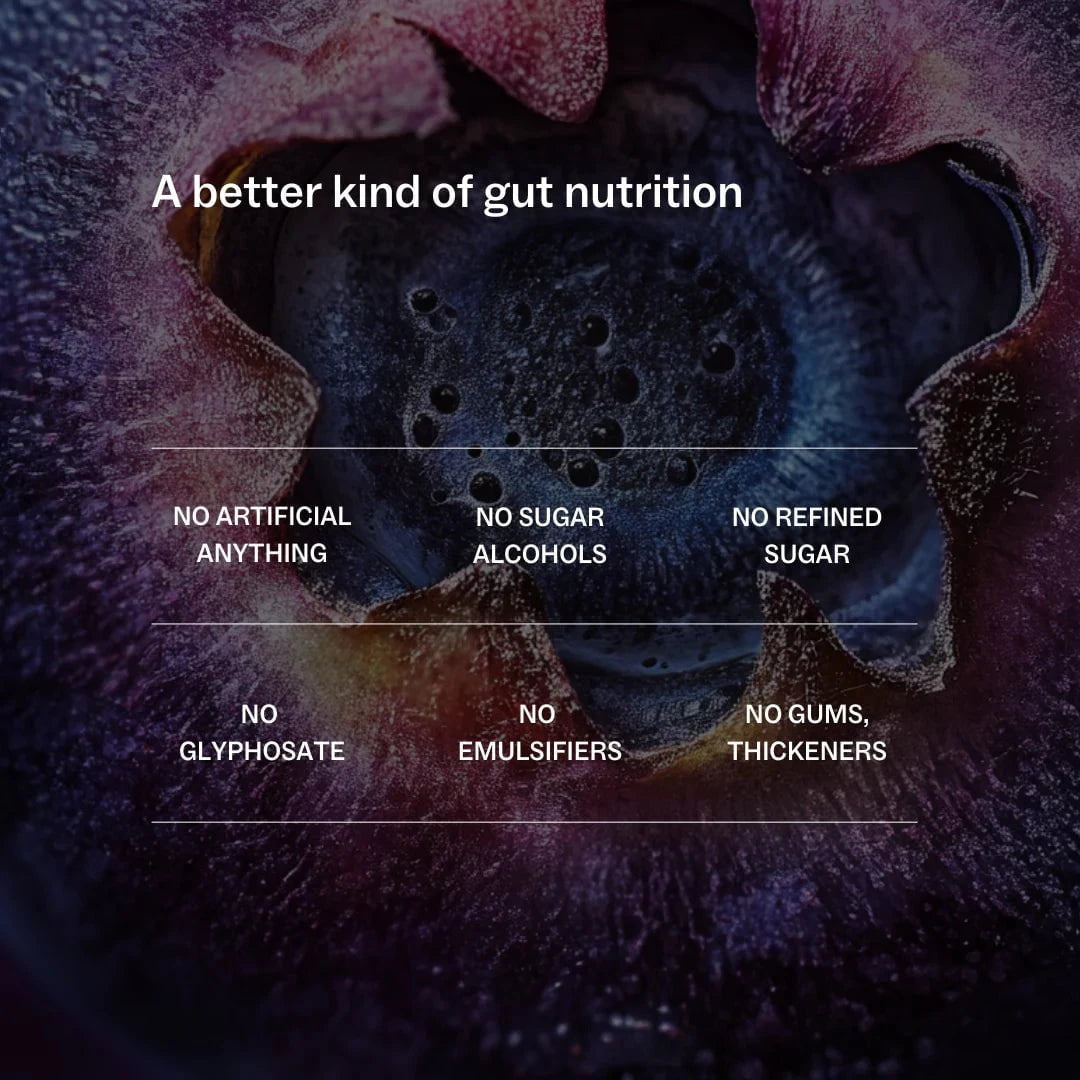 My Way Up My Way Up Daily Gut Nutrition 270g supplements