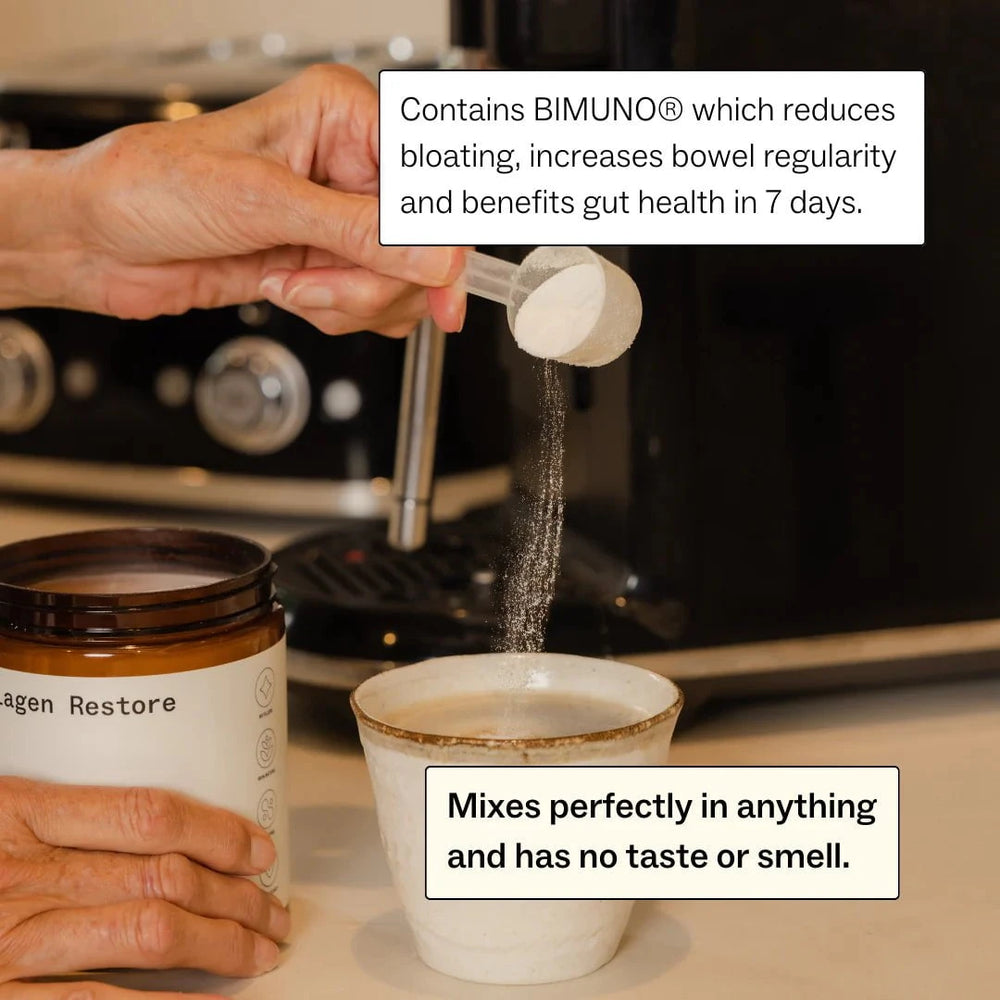 My Way Up My Way Up Weight Loss System Swiss Chocolate Bundle supplements