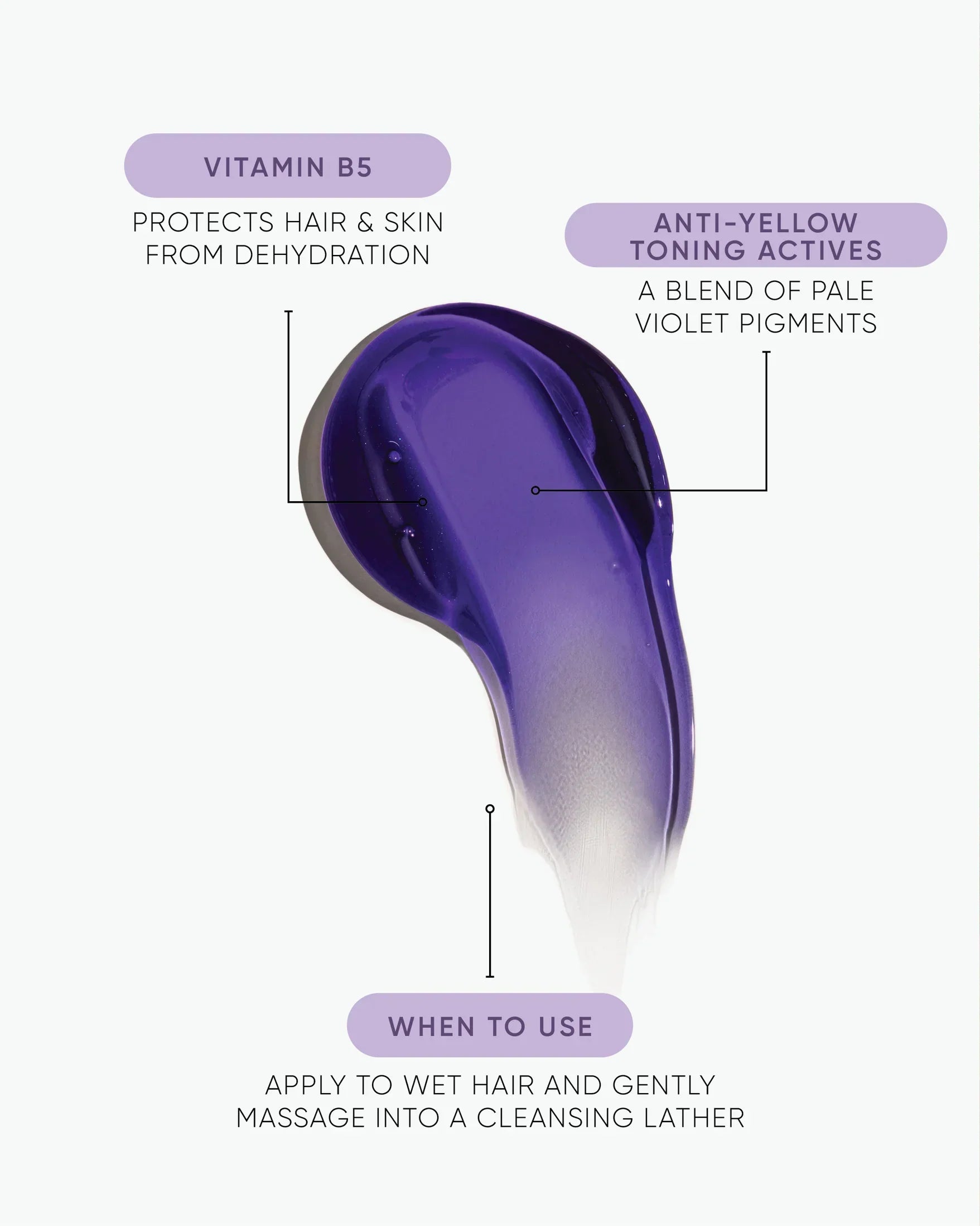 Nak NAK Platinum Blonde Anti-Yellow Shampoo 80ml Hair Care
