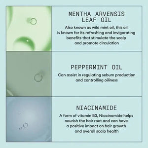 Nioxin Nioxin Scalp Recovery System Kit Hair Care [Health and Beauty]