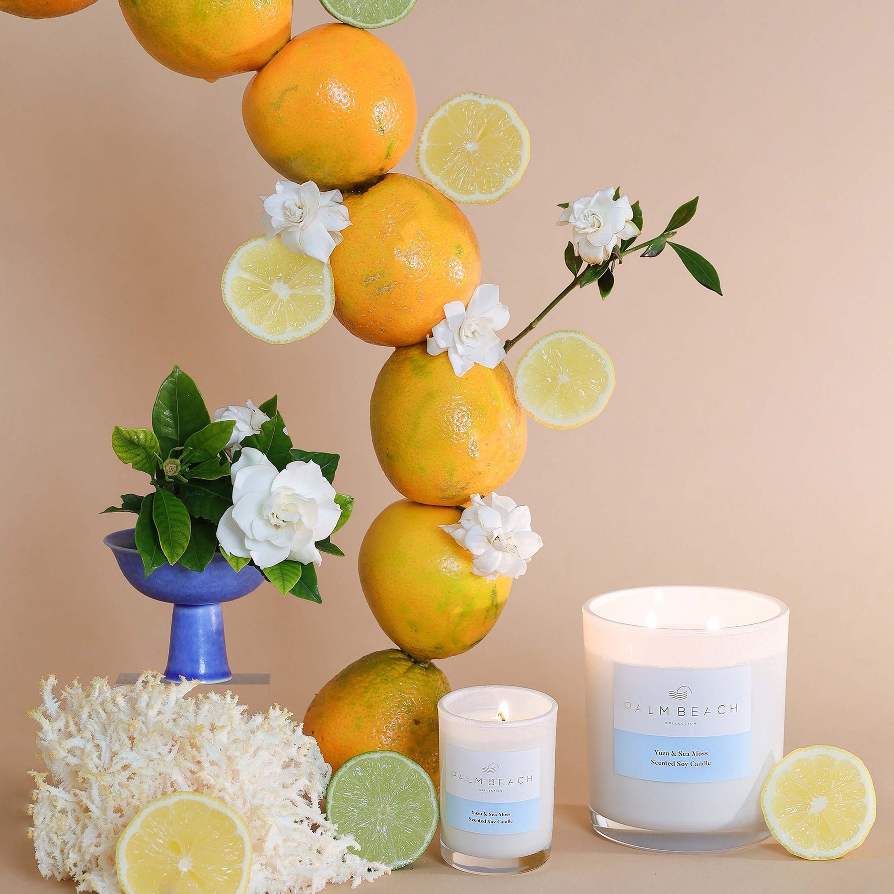 Palm Beach Palm Beach Collection Yuzu & Sea Moss Mini Candle 90g Fragrance