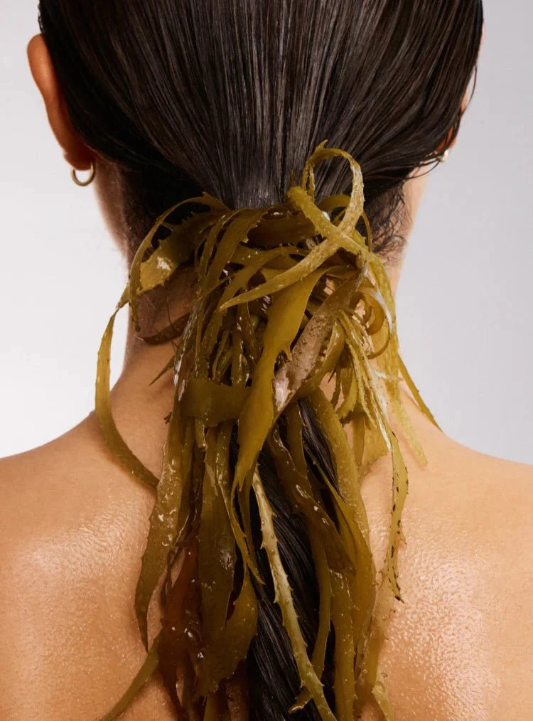 The Beauty Chef The Beauty Chef Hair Biotic 60 Capsules