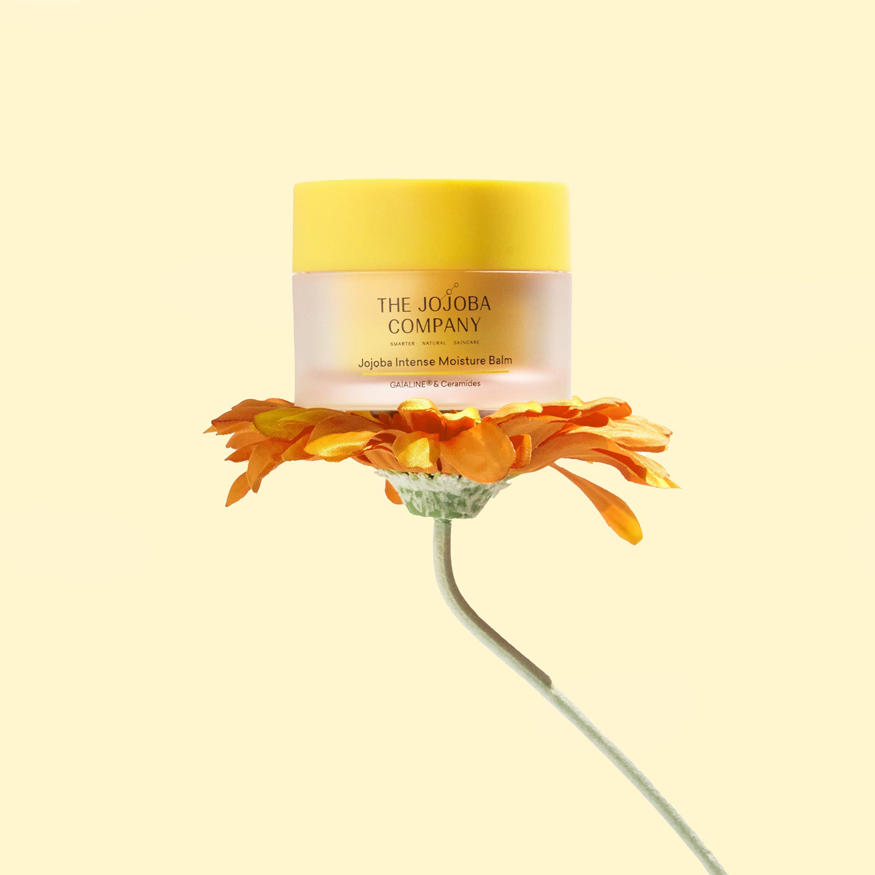 The Jojoba Company The Jojoba Company Jojoba Intense Moisture Balm 50ml Moisturisers