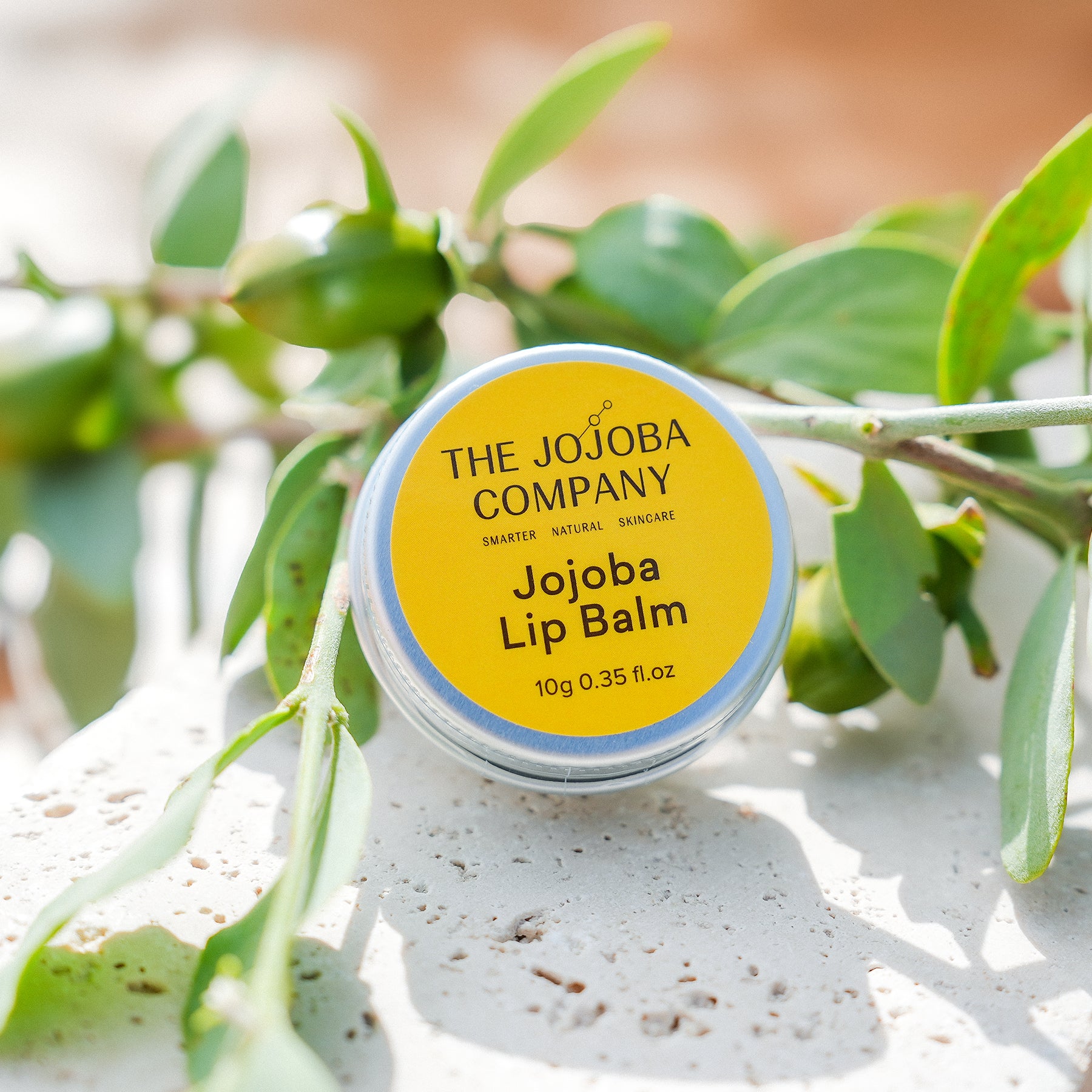 The Jojoba Company The Jojoba Company Jojoba Lip Balm 10g Skin Care