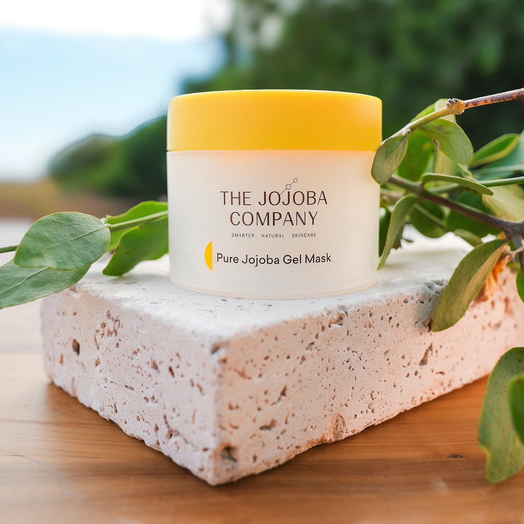 The Jojoba Company The Jojoba Company Pure Jojoba Gel Mask 50ml Skin Care
