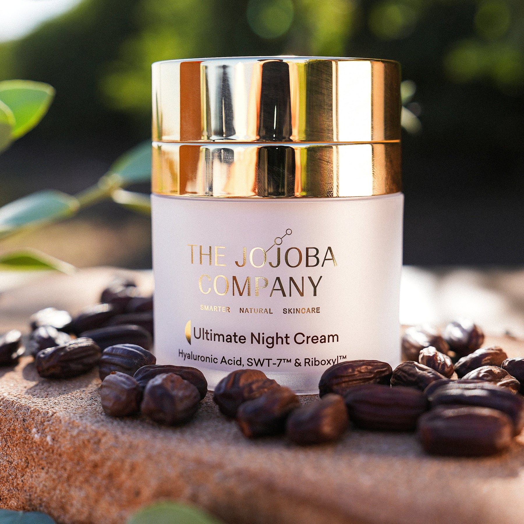 The Jojoba Company The Jojoba Company Ultimate Night Cream 50ml Skin Care