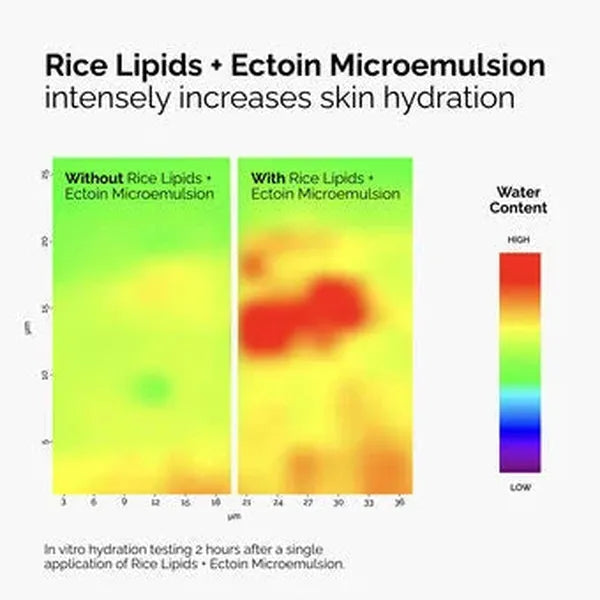 The Ordinary The Ordinary Rice Lipids + Ectoin Microemulsion 60ml Moisturisers