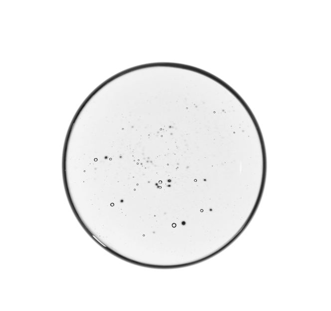 The Ordinary The Ordinary Volufiline 92% + Pal-Isoleucine 1% 15ml Serums & Treatments