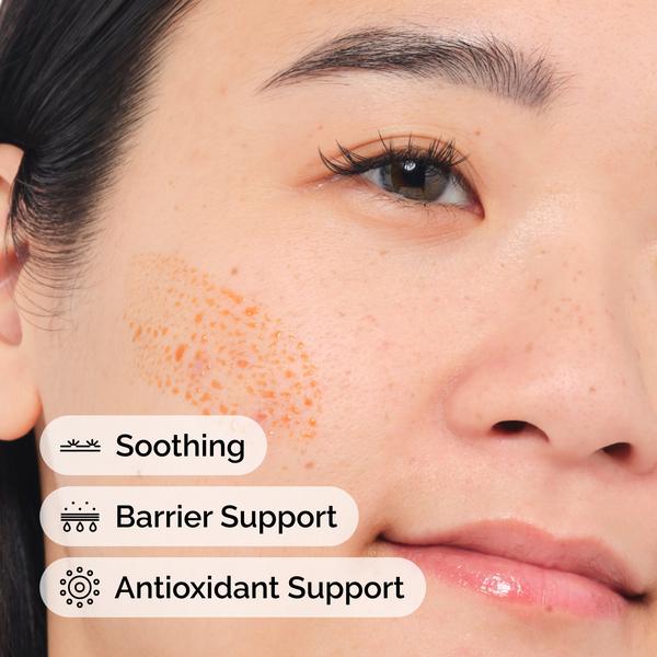 The Ordinary The Ordinary Pycnogenol 5% 15ml Skin Care