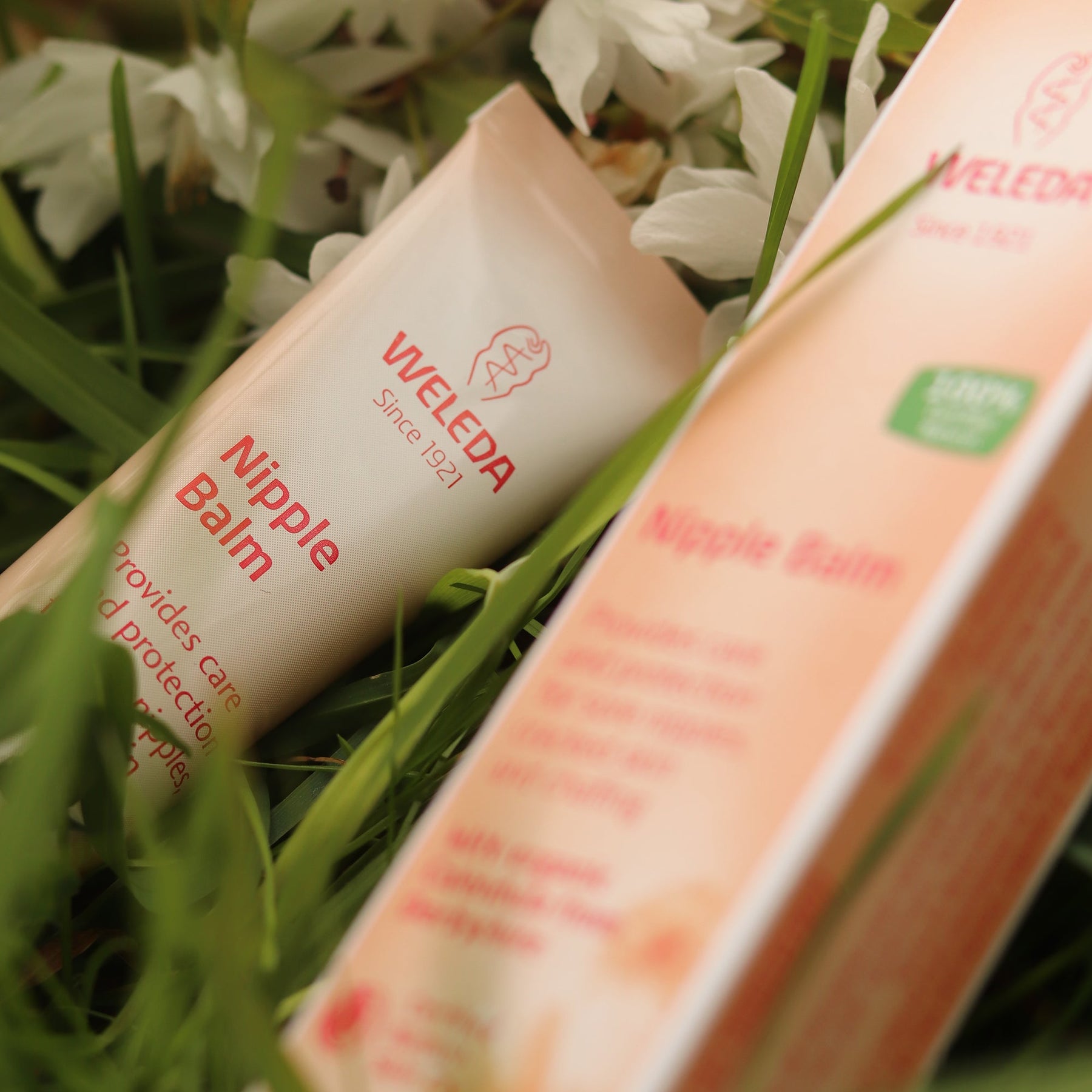 Weleda Weleda Nipple Balm 25g Mothercare