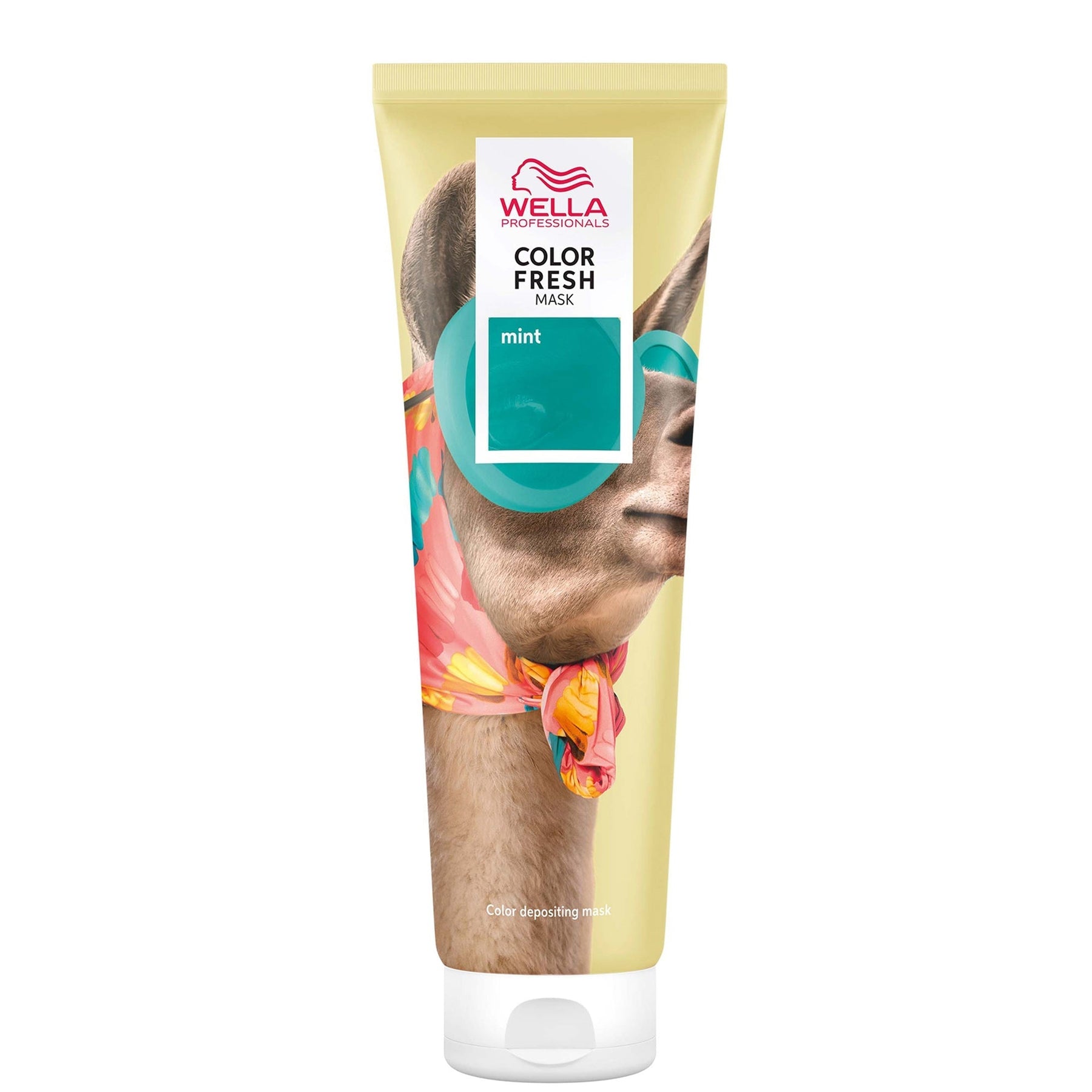 Wella Professionals Wella Professionals Care Color Fresh Semi-Permanent Colour Mask - Mint 150ml Hair Care