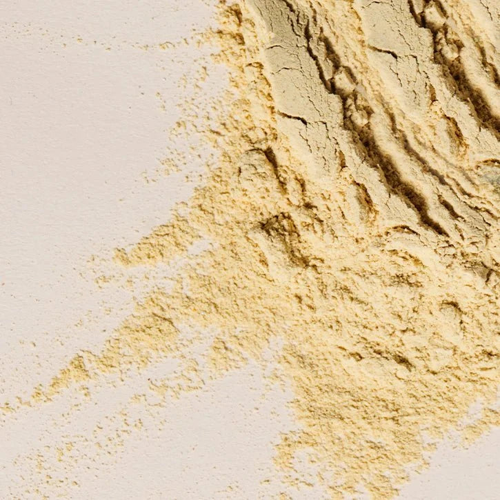 WelleCo WelleCo Nourishing Protein - Vanilla 300g Wellness